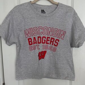Wisconsin Badgers Gray Crop Tee with